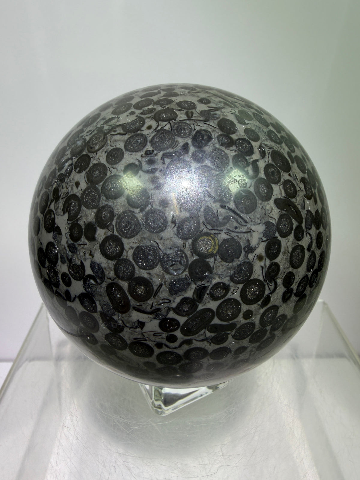 Leopardskin Jasper Sphere. 79mm. Gorgeous And Realistic Leopard Cheetah Patterns. Very Pretty Display Crystal
