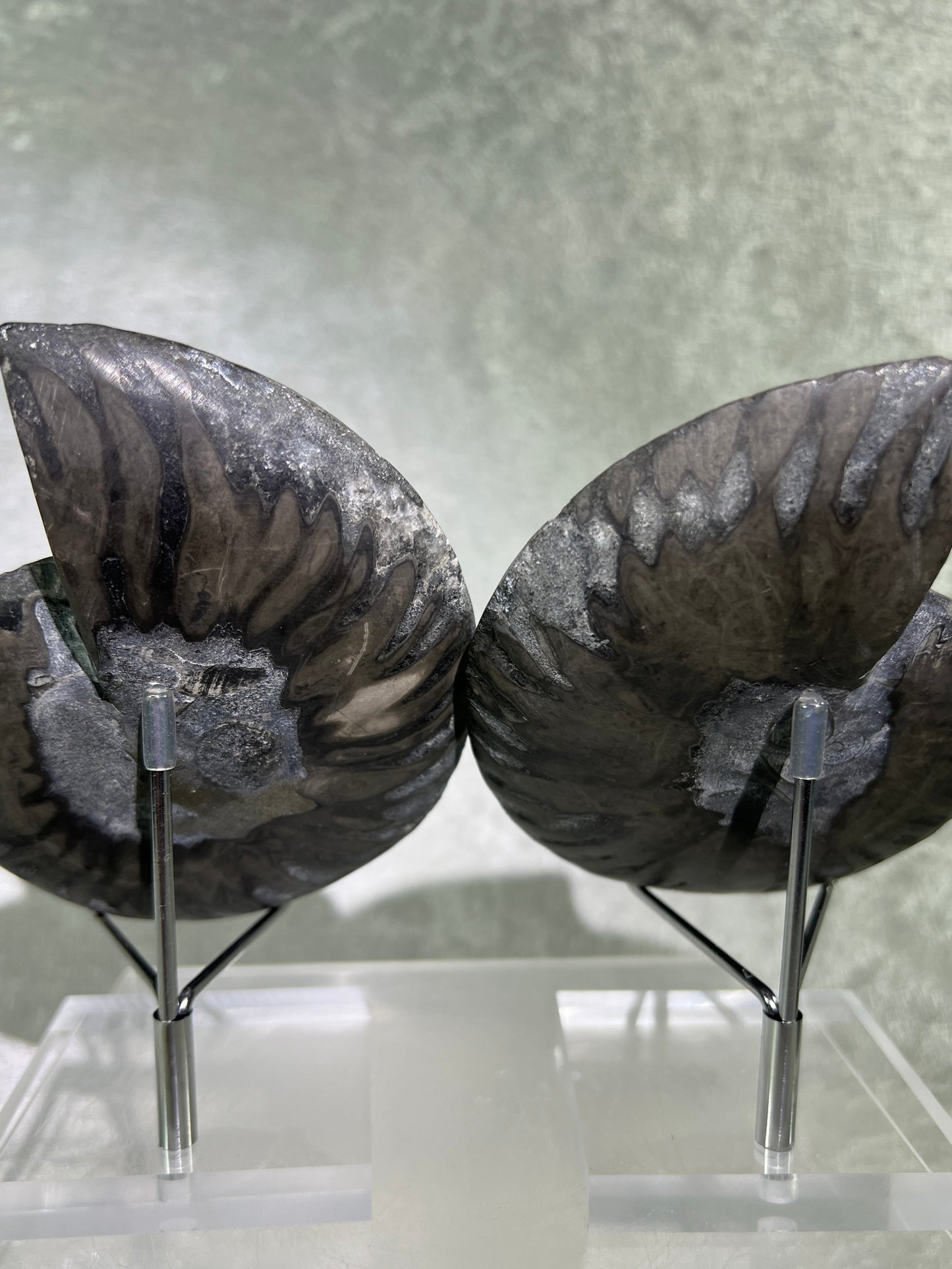Black Ammonite Display Pair. Gorgeous Rare Fossil Specimen From Madagascar. Split And Polished With Amazing Druzy.