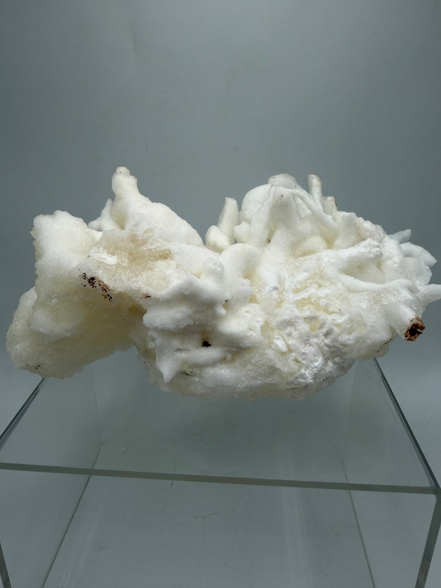 Calcite Helectite Crystal Specimen. Rare Amazing Cave Calcite Formation. High Quality Unique Mineral Display