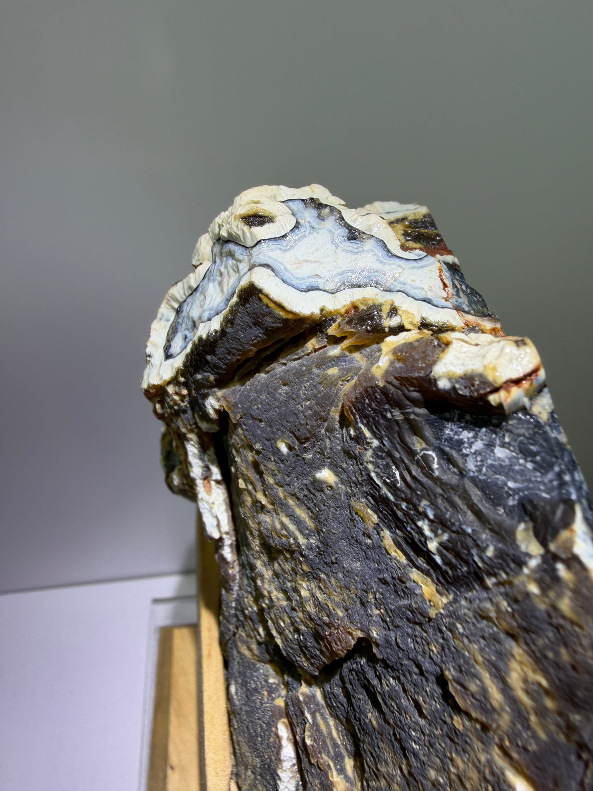 Botryoidal Black Jasper Specimen. Very Rare Geode From Brazil. High Quality Crystal With Custom Stand