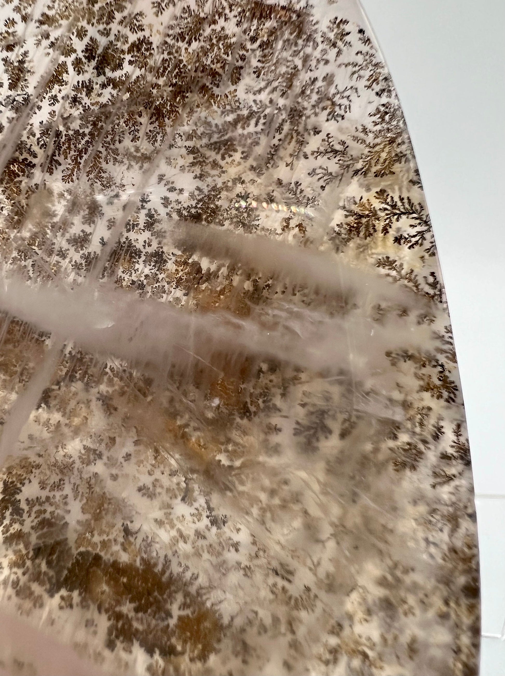 Dendritic Quartz Freeform Flame. Rare High Quality Crystal. Very Unique Crystal.