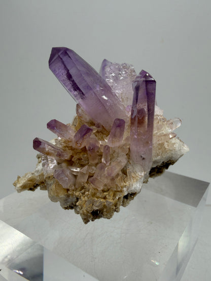Veracruz Amethyst Display Cluster. Beautiful Dark Purple Specimen. World Famous Rare Amethyst