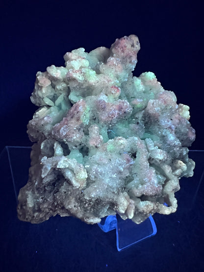 Selenite With Druzy Fluorite. Very Unique Mineral Specimen From Mexico. UV Reactive Display Crystal.