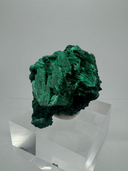 Malachite Display Specimen. Silky Malachite Cluster. High Quality Velvet Malachite From The Congo