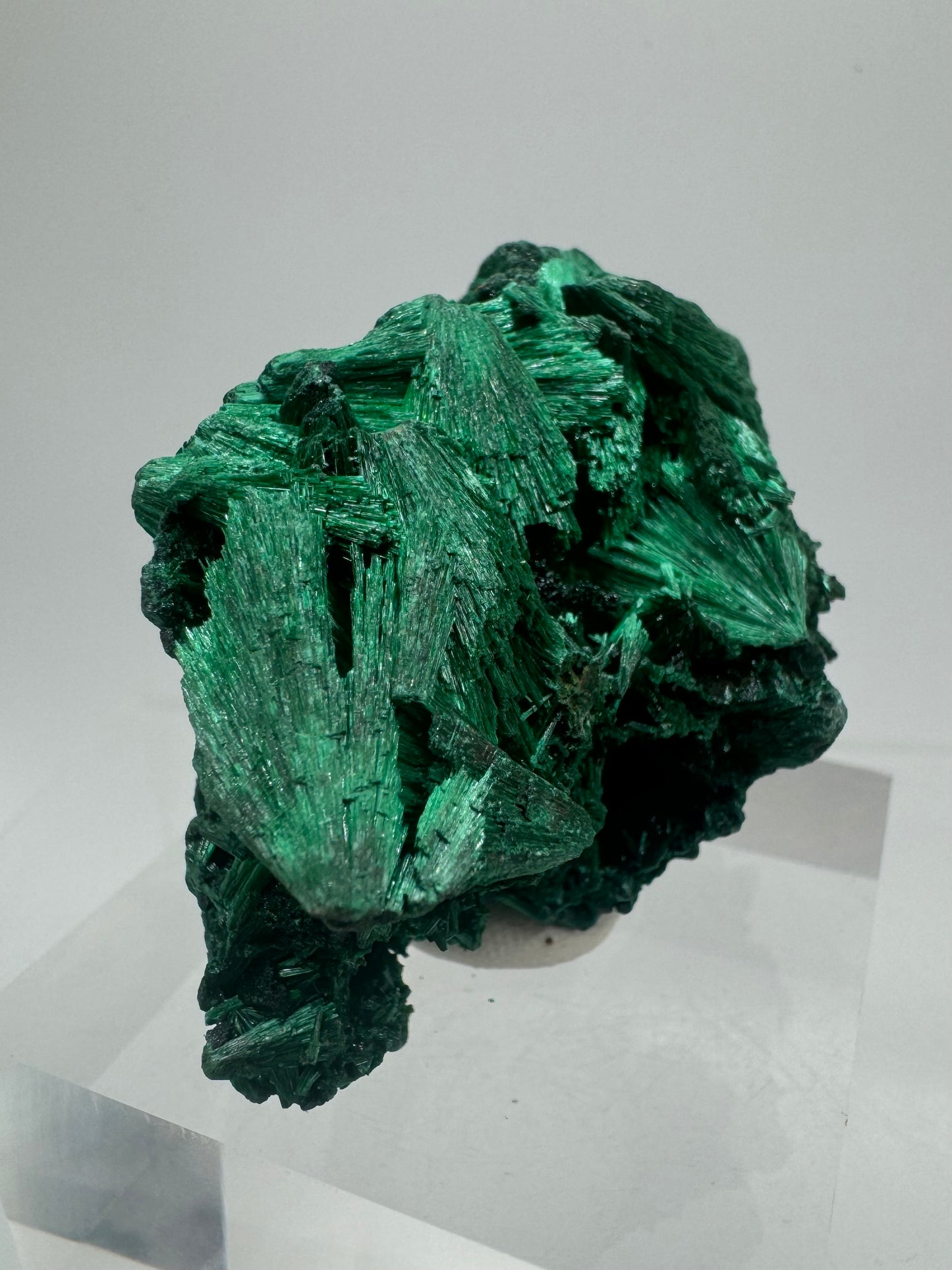 Malachite Display Specimen. Silky Malachite Cluster. High Quality Velvet Malachite From The Congo