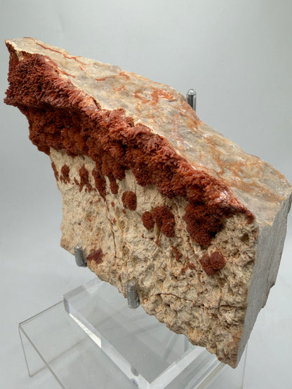 Orange Red Dogtooth Calcite Specimen. Stunning Dogtooth Flower Clusters. High Quality Rare Specimen