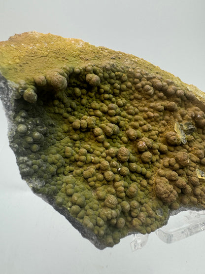 Mottramite Crystal Specimen. From The Famous 2011 Mexico Discovery. Top Quality Mineral Specimen. Very Rare Must Have For Any Collector.