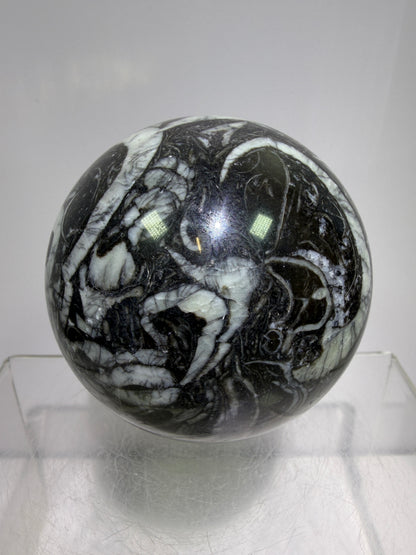 Black Crinoid Fossil Sphere: 66mm. High Quality Rare Crystal Sphere. Incredible One Of A Kind Display Sphere.