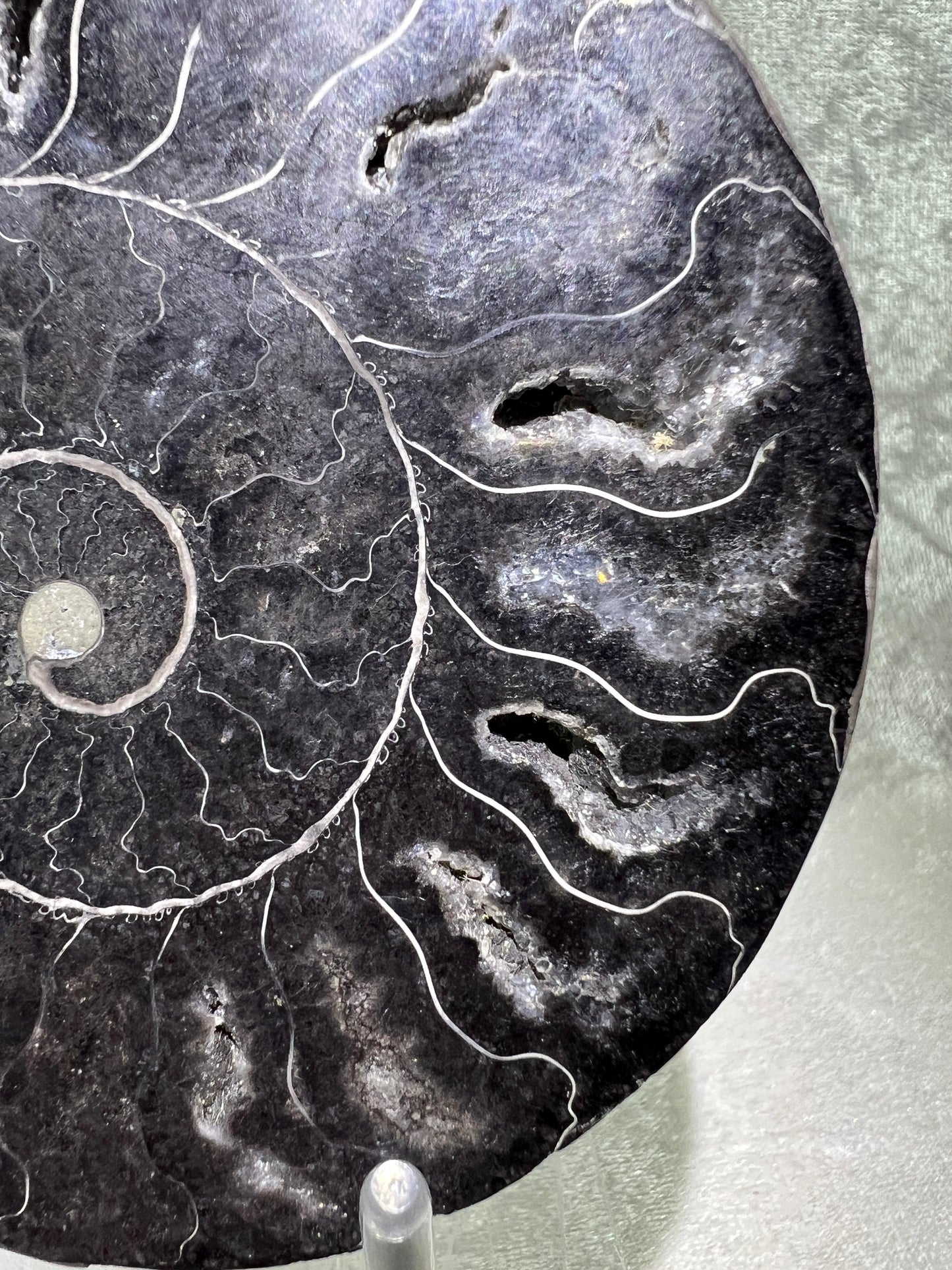 Black Ammonite Display Pair. Gorgeous Rare Fossil Specimen From Madagascar. Split And Polished With Amazing Druzy.