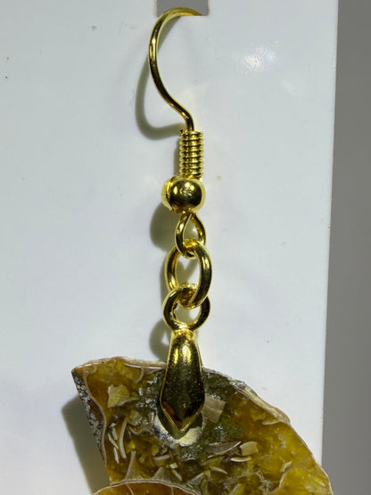 Ammonite Crystal Earrings. Amazing One Of A Kind Jewelry. High Quality Ammonite Pair