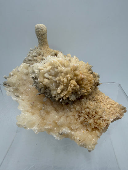 Dogtooth Calcite And Stalagmite Specimen. Stunning Flower Clusters. High Quality Rare Specimen.