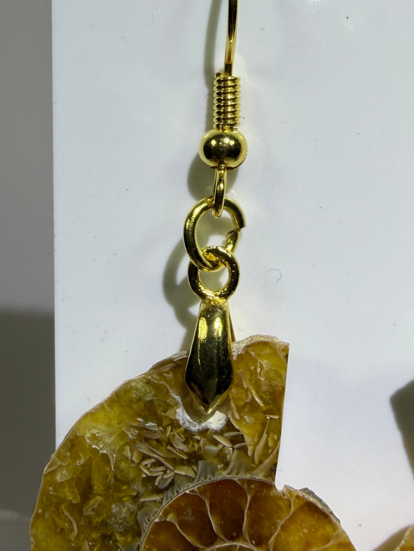 Ammonite Crystal Earrings. Amazing One Of A Kind Jewelry. High Quality Ammonite Pair