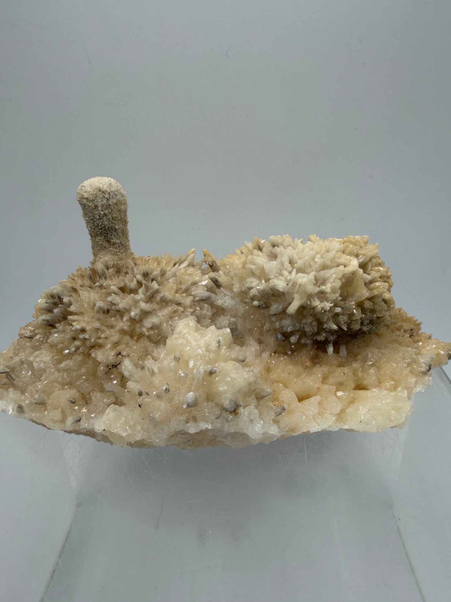 Dogtooth Calcite And Stalagmite Specimen. Stunning Flower Clusters. High Quality Rare Specimen.