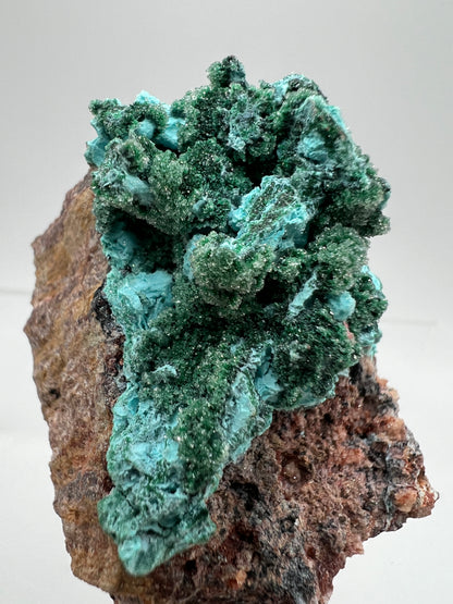 Chrysocolla And Malachite Specimen. High Quality Druzy Chrysocolla From Likasi, Congo. Gorgeous Color Display Crystal.