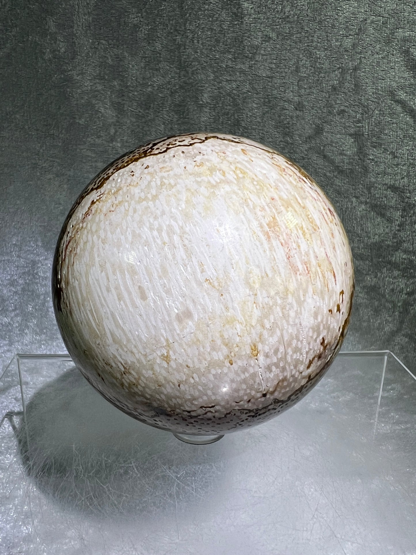 Palm Root Agate Sphere. 77mm. Gorgeous Fossilized Black Palm Root Agate. Very High Quality Crystal Sphere.