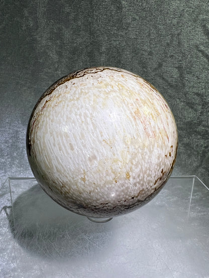 Palm Root Agate Sphere. 77mm. Gorgeous Fossilized Black Palm Root Agate. Very High Quality Crystal Sphere.