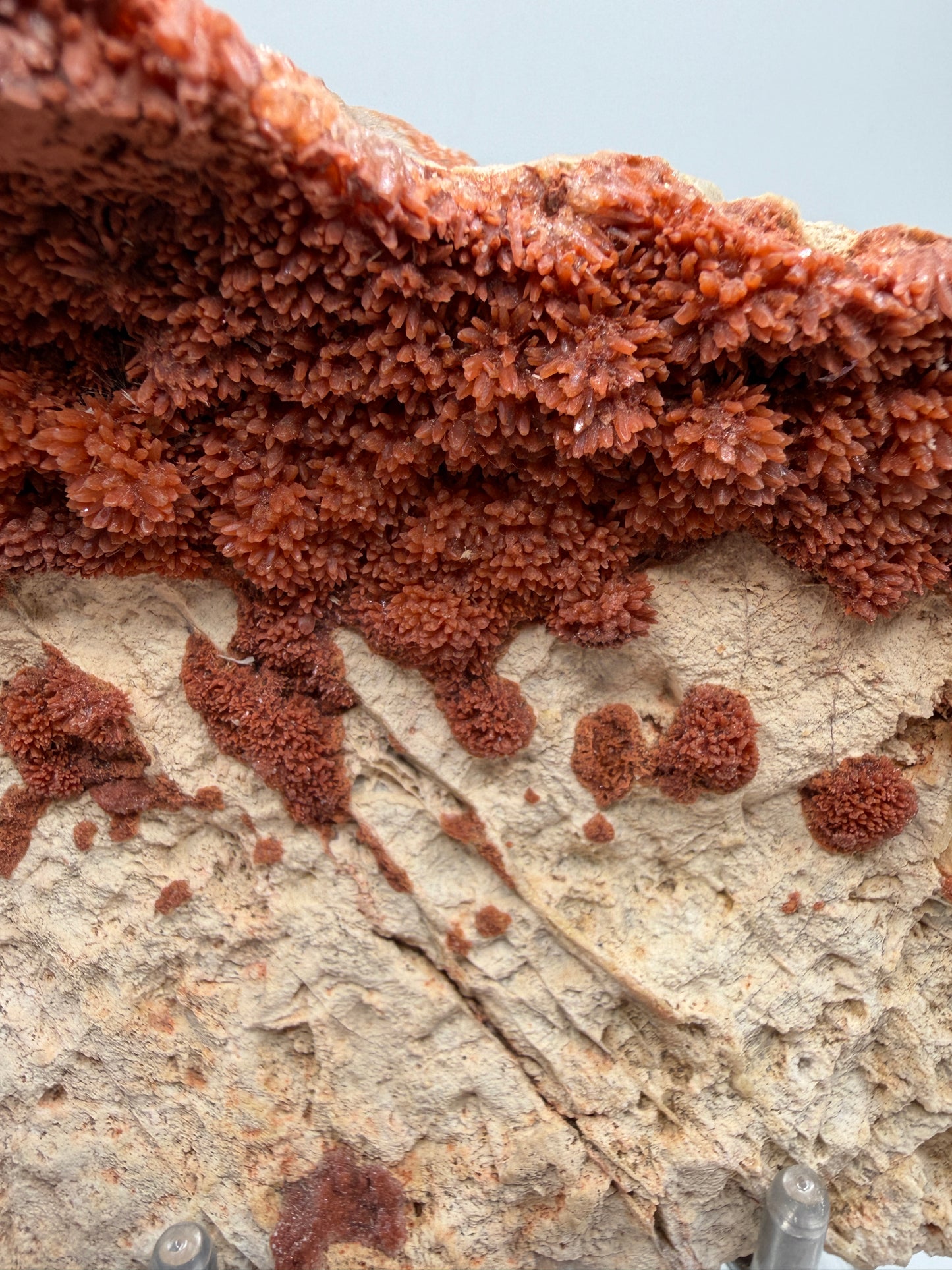 Orange Red Dogtooth Calcite Specimen. Stunning Dogtooth Flower Clusters. High Quality Rare Specimen
