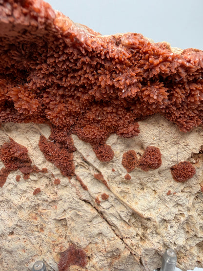 Orange Red Dogtooth Calcite Specimen. Stunning Dogtooth Flower Clusters. High Quality Rare Specimen