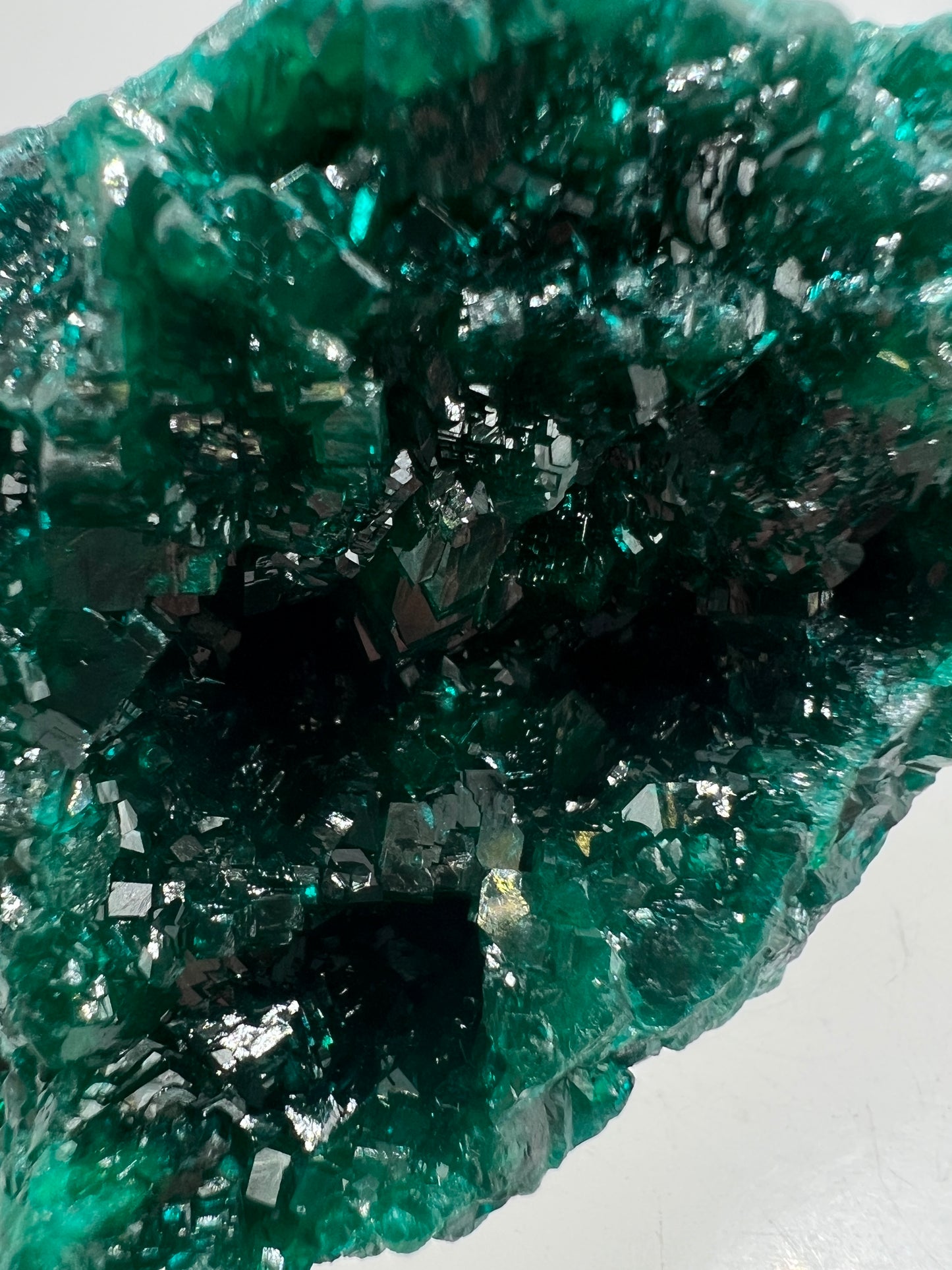 Dioptase Crystal Specimen. High Quality Flashy Mineral From The Congo. Gorgeous Colors And Cubes.
