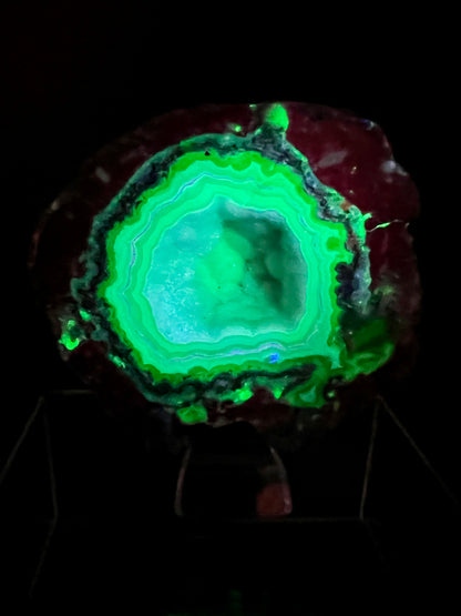 Trancas Geode Specimen From Mexico. A Beautiful Half Geode With Stunning Sugar Druzy. Gorgeous Shortwave UV Reaction!