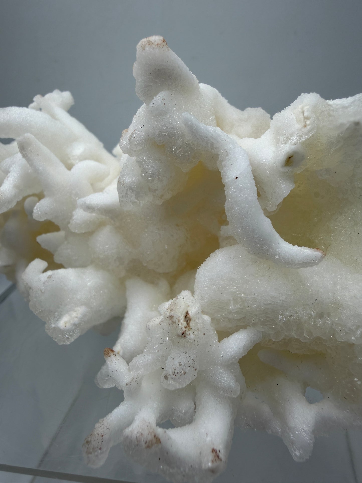 Calcite Helectite Crystal Specimen. Rare Amazing Cave Calcite Formation. High Quality Unique Mineral Display