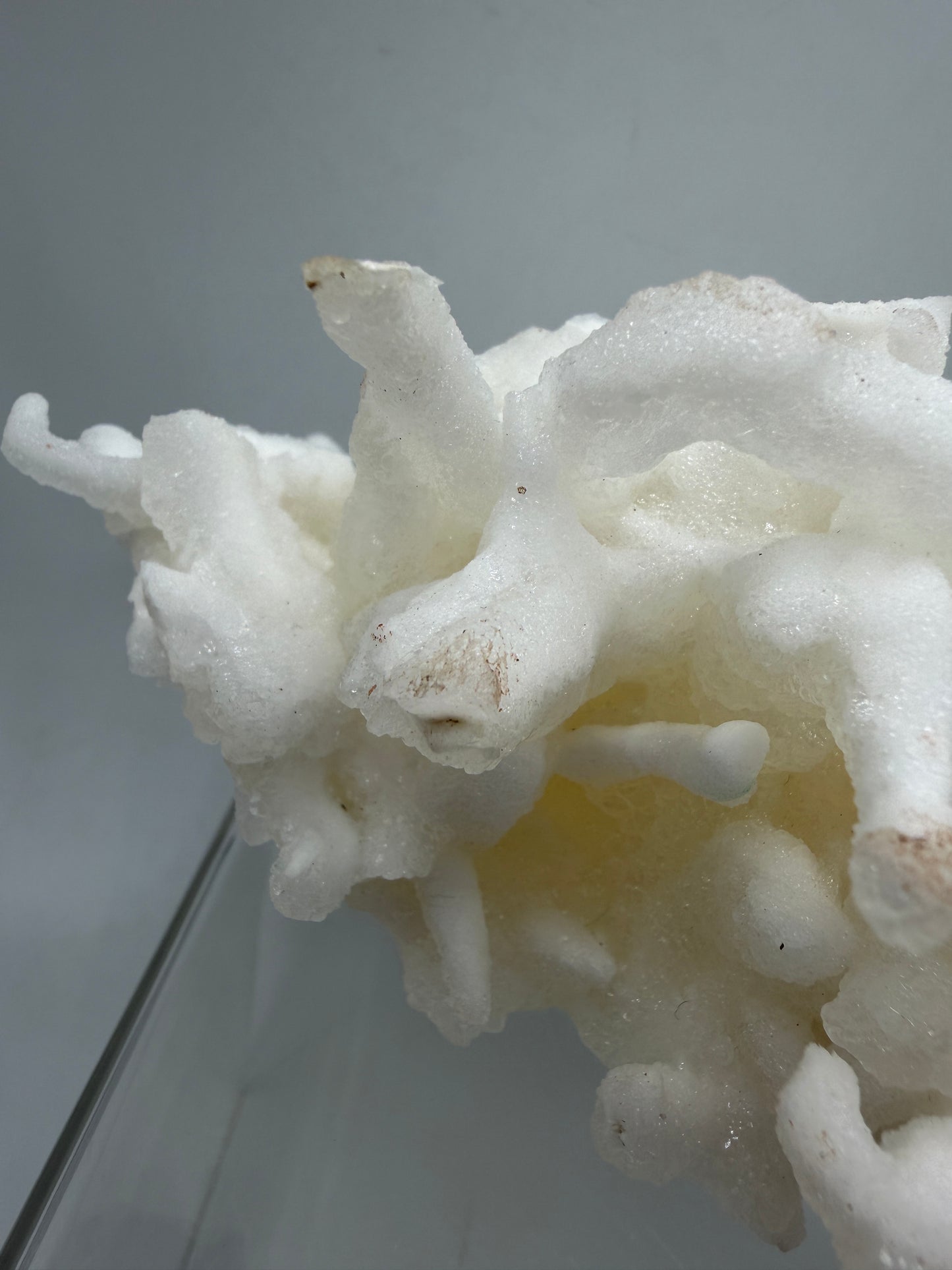 Calcite Helectite Crystal Specimen. Rare Amazing Cave Calcite Formation. High Quality Unique Mineral Display