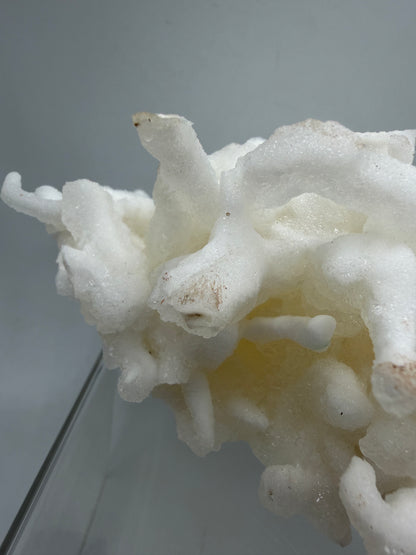Calcite Helectite Crystal Specimen. Rare Amazing Cave Calcite Formation. High Quality Unique Mineral Display