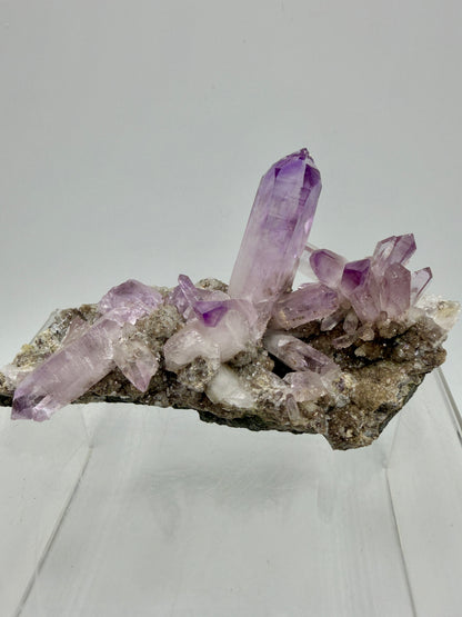 Veracruz Amethyst Display Cluster. Gorgeous Deep Purple High Quality Specimen. World Famous Rare Amethyst
