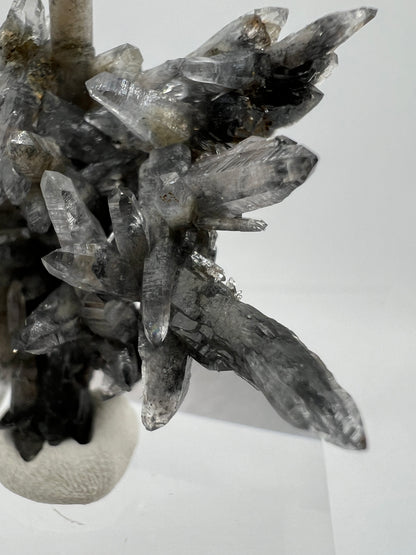 Veracruz Black Phantom Quartz Specimen. New Discovery From Mexico. Very Rare And Limited Collectors Piece. Stunning Display Crystal.