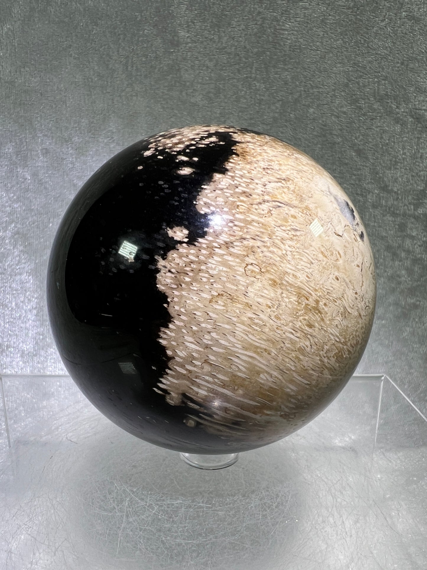 Palm Root Agate Sphere. 76mm. Incredible Fossilized Black Palm Root Agate. Very High Quality Crystal Sphere.