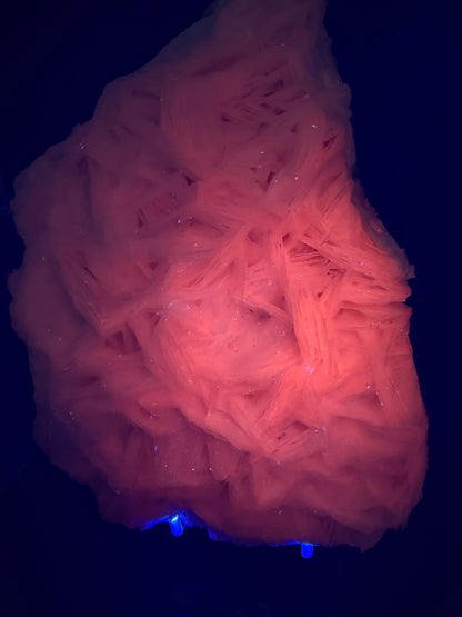 White Rose Bladed Calcite. Extra Large Angel Wing Calcite Specimen. High Quality UV Statement Piece.