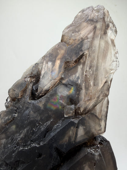 Elestial Quartz Specimen. High Quality Smoky Quartz Cluster. Amazing Colors, Excellent Windows, And Gorgeous Rainbows!