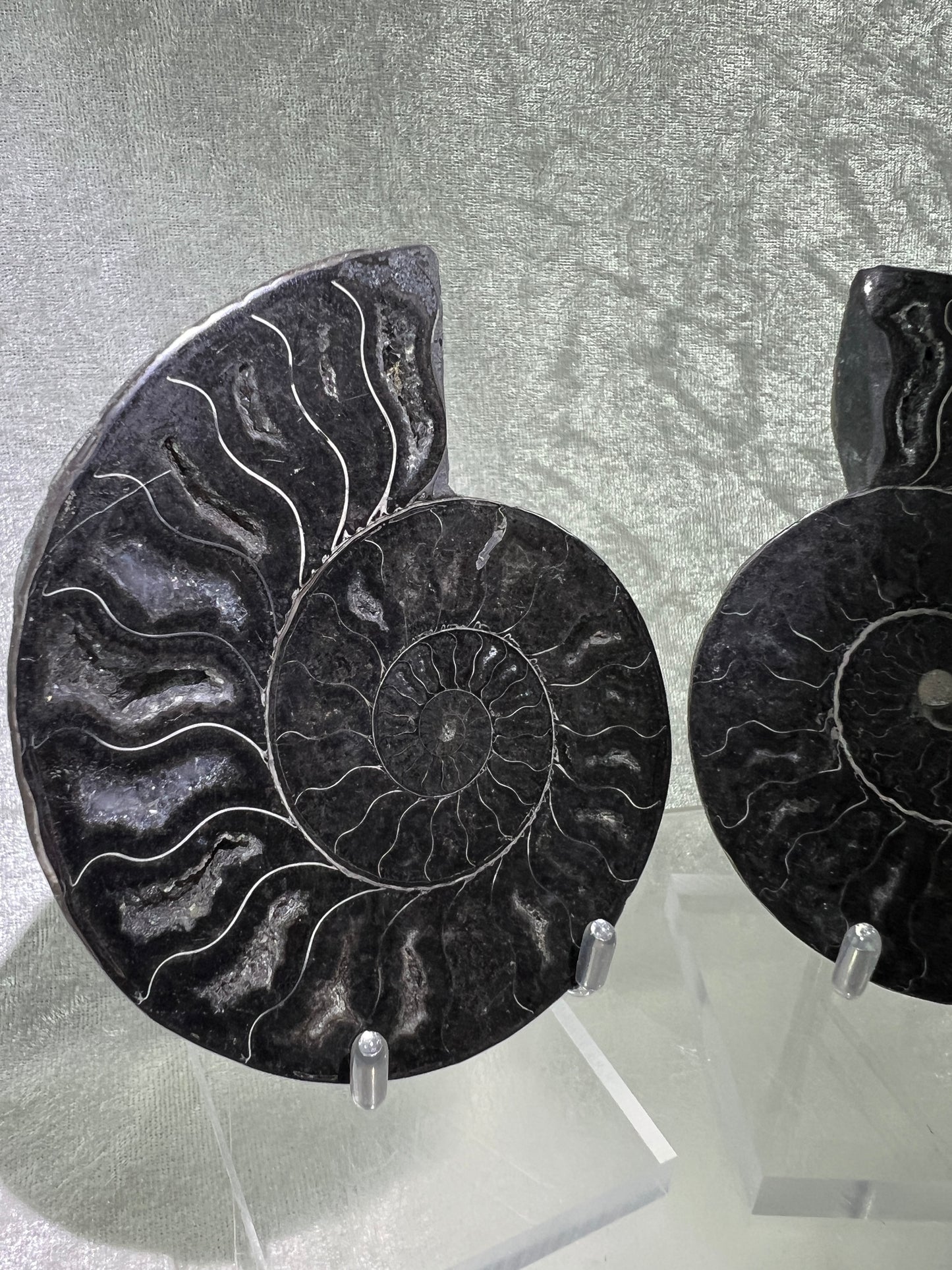 Black Ammonite Display Pair. Gorgeous Rare Fossil Specimen From Madagascar. Split And Polished With Amazing Druzy.