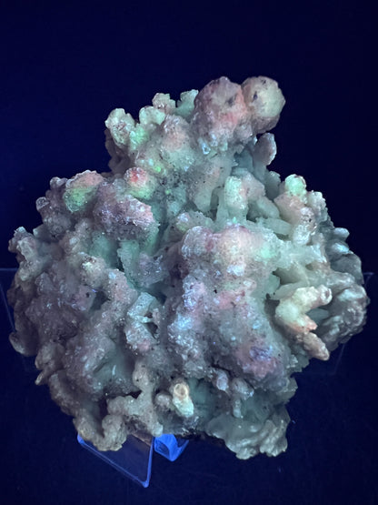 Selenite With Druzy Fluorite. Very Unique Mineral Specimen From Mexico. UV Reactive Display Crystal.