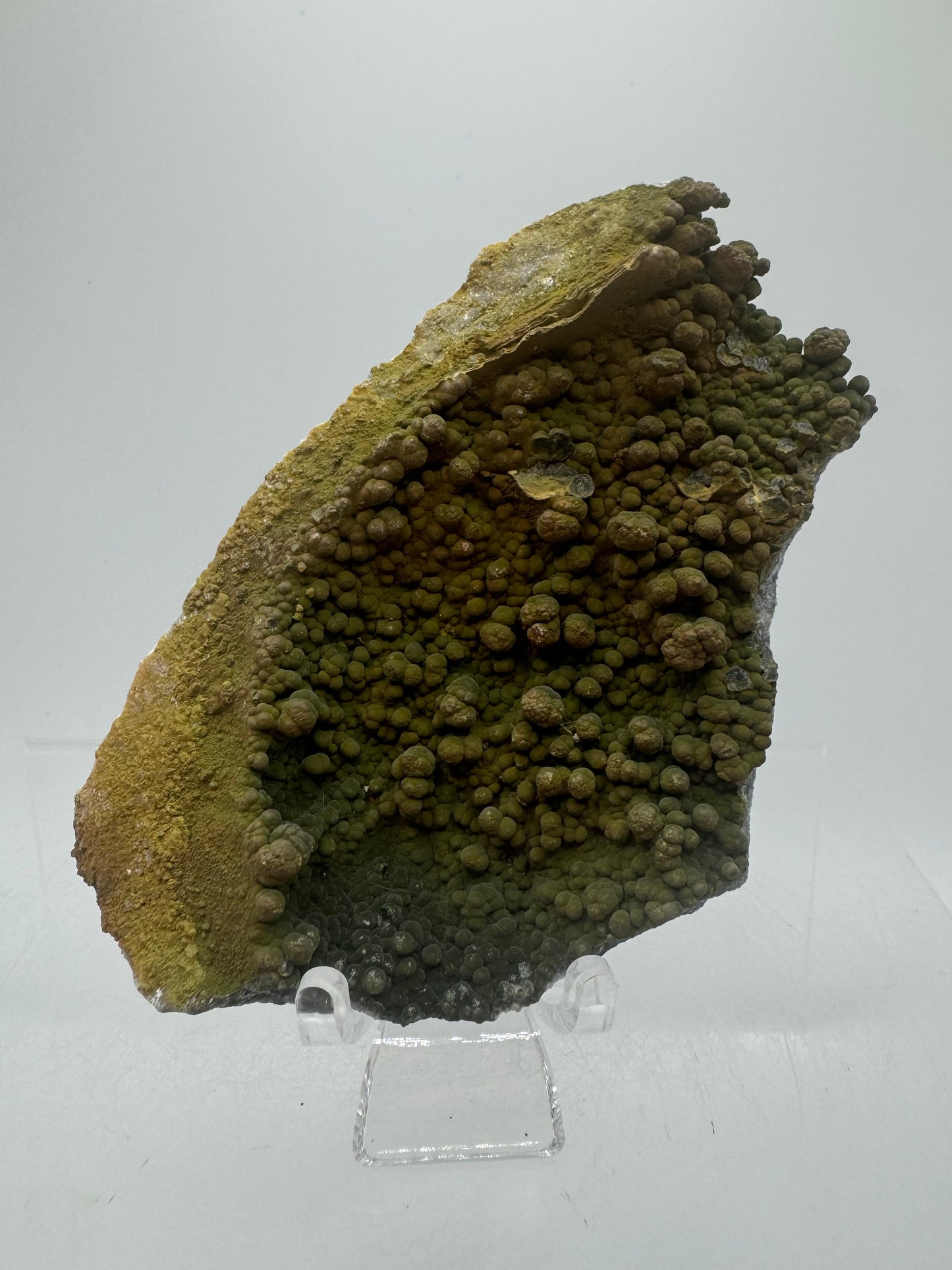 Mottramite Crystal Specimen. From The Famous 2011 Mexico Discovery. Top Quality Mineral Specimen. Very Rare Must Have For Any Collector.