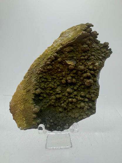 Mottramite Crystal Specimen. From The Famous 2011 Mexico Discovery. Top Quality Mineral Specimen. Very Rare Must Have For Any Collector.