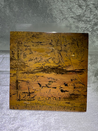 Picture Jasper Set Of 4 Coasters. Stunning Crystal Coasters. Practical And Beautiful!