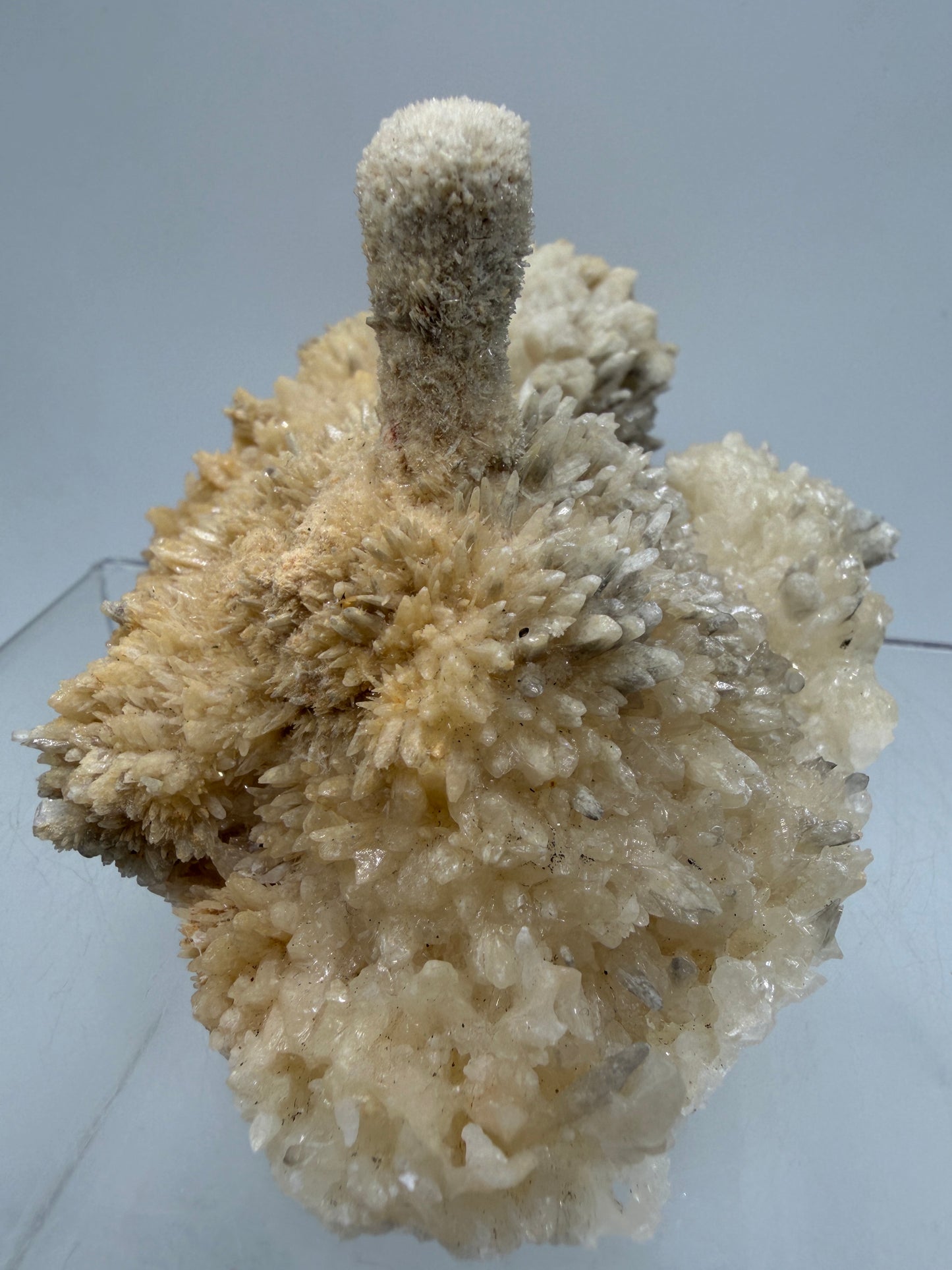 Dogtooth Calcite And Stalagmite Specimen. Stunning Flower Clusters. High Quality Rare Specimen.