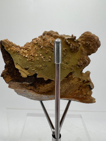 Mottramite Crystal Specimen. From The Famous 2011 Mexico Discovery. Top Quality Mineral Specimen. Very Rare Must Have For Any Collector.