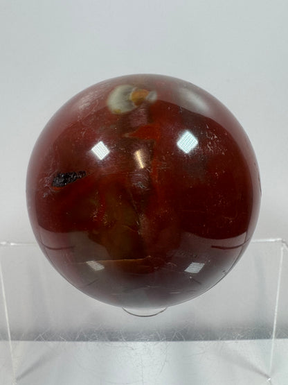 Petrified Wood Sphere. 62mm. Rare Display Sphere From Madagascar. Amazing Colors And Patterns.