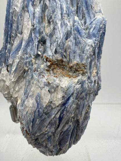 Kyanite And Quartz Mineral Specimen. Beautiful Raw Blue Kyanite Cluster.