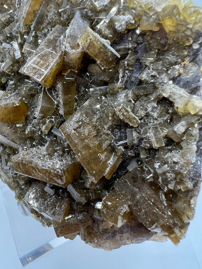 Golden Yellow Barite On A Fluorite Matrix. XL Stunning Mixed Mineral Specimen. Amazing Botryoidal Fluorite.