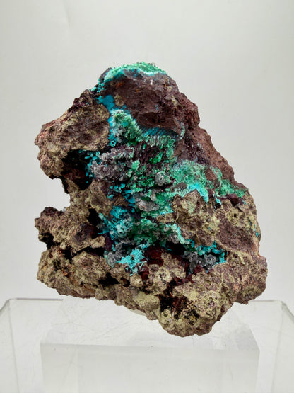 Rosasite And Malachite Specimen. Colorful High Quality Specimen From Mexico. Rare Mineral For Collections