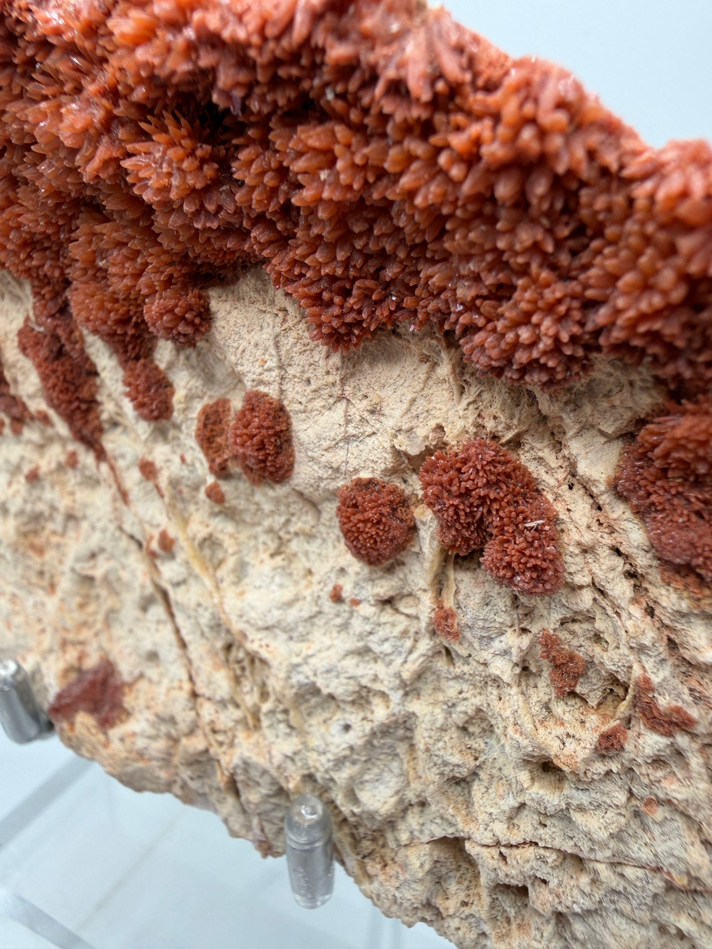Orange Red Dogtooth Calcite Specimen. Stunning Dogtooth Flower Clusters. High Quality Rare Specimen