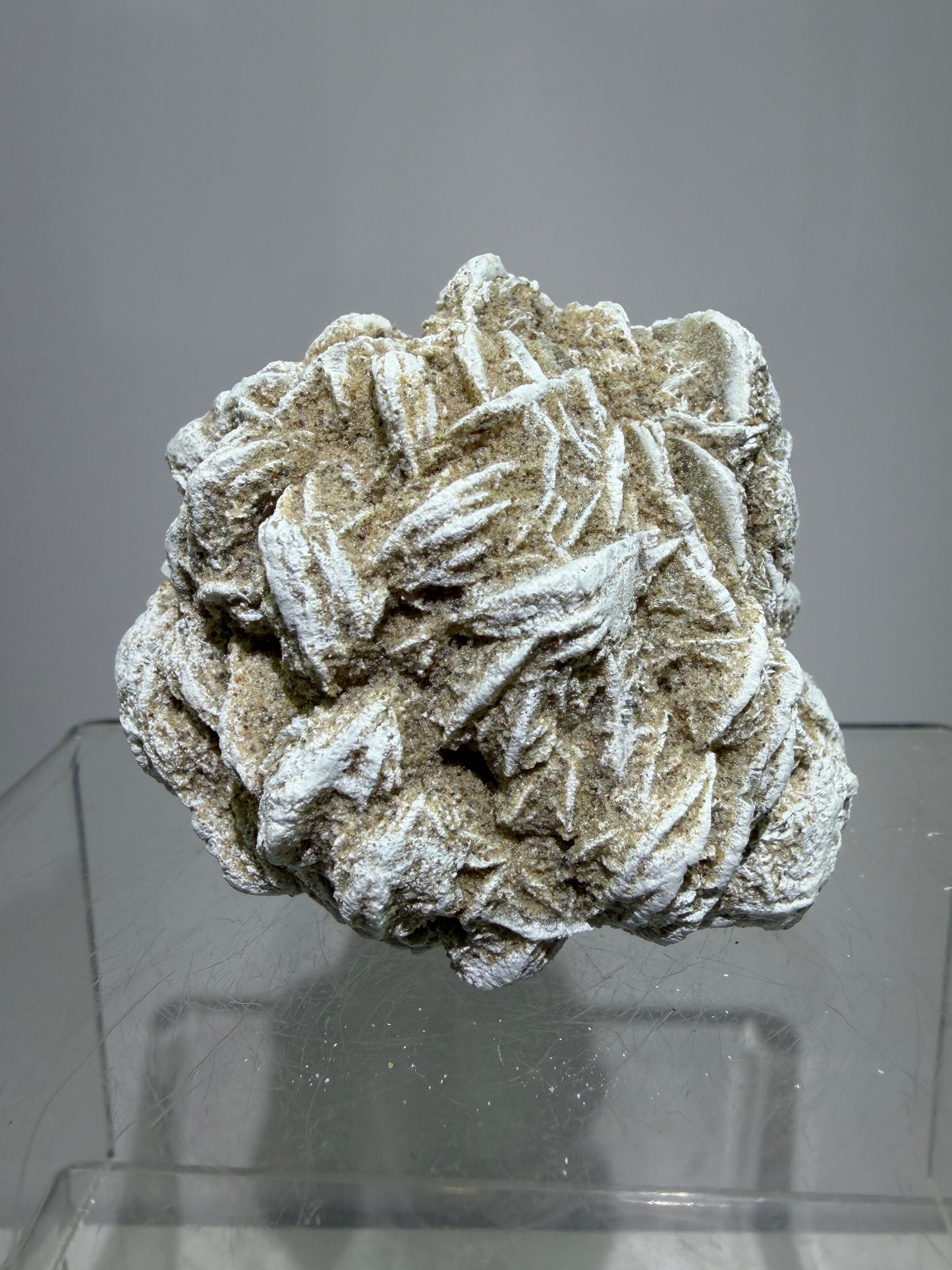 Selenite Desert Rose Specimen. Very Unique Gypsum Cluster.