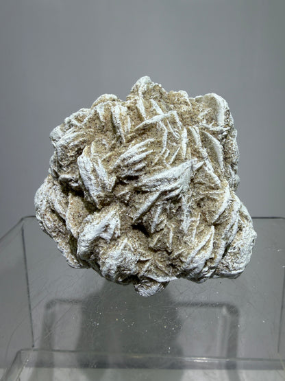 Selenite Desert Rose Specimen. Very Unique Gypsum Cluster.