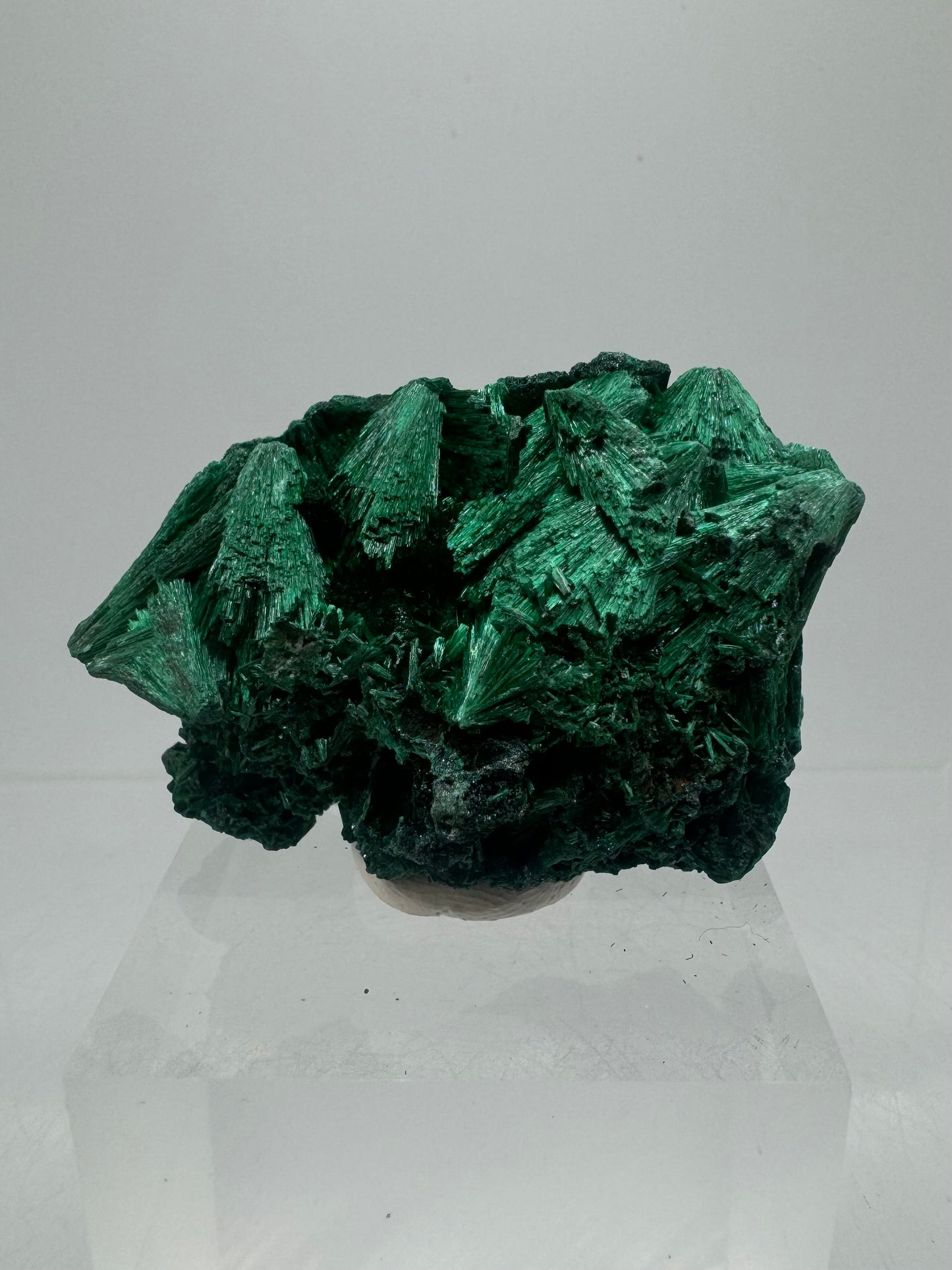 Malachite Display Specimen. Silky Malachite Cluster. High Quality Velvet Malachite From The Congo