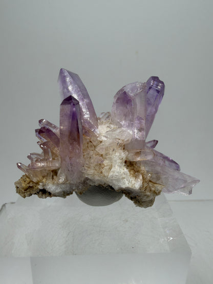 Veracruz Amethyst Display Cluster. Beautiful Dark Purple Specimen. World Famous Rare Amethyst