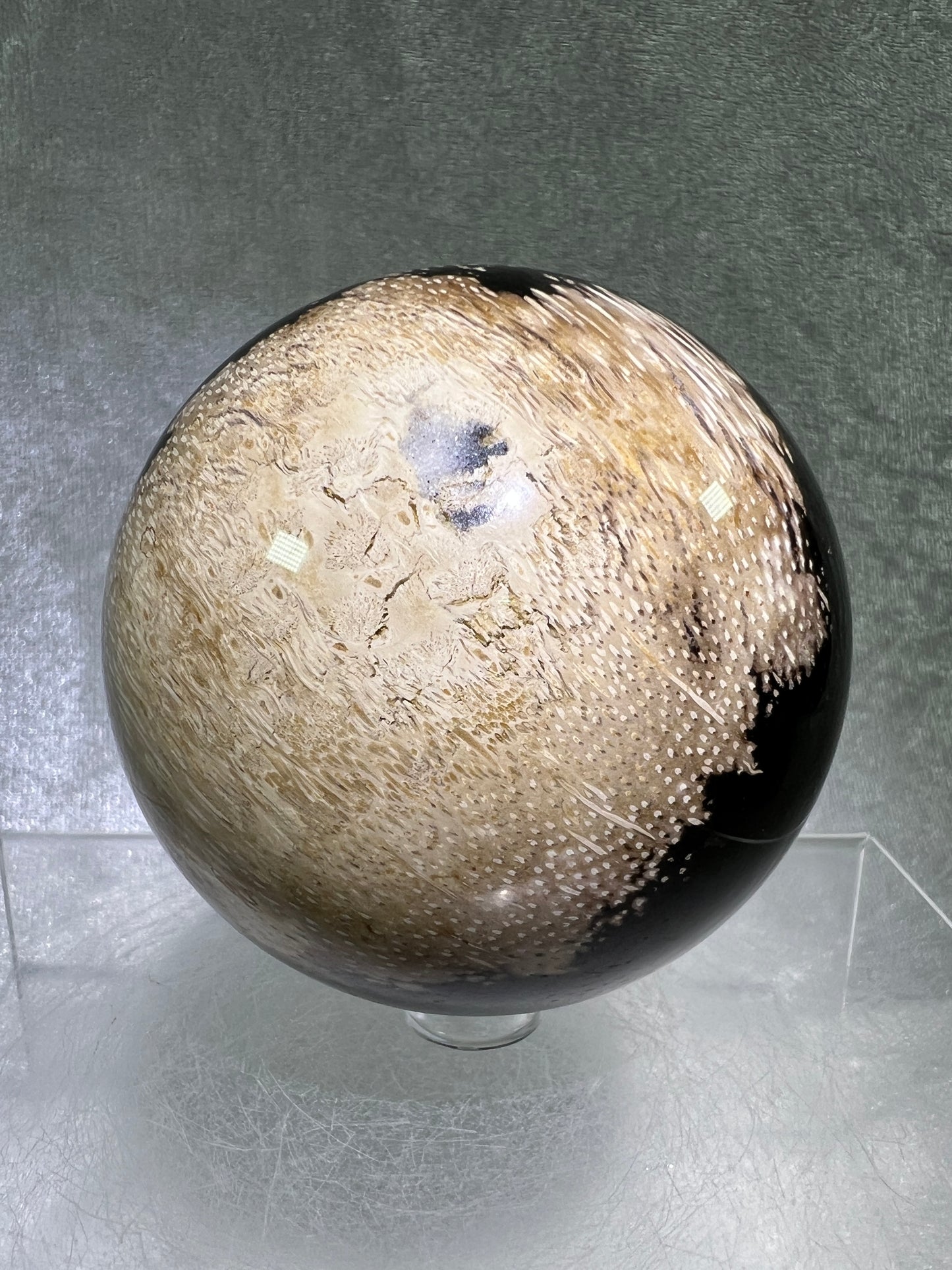 Palm Root Agate Sphere. 76mm. Incredible Fossilized Black Palm Root Agate. Very High Quality Crystal Sphere.