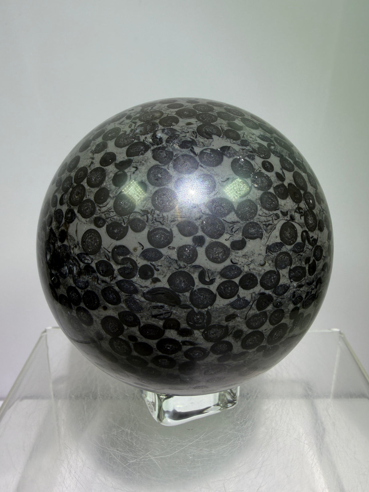Leopardskin Jasper Sphere. 79mm. Gorgeous And Realistic Leopard Cheetah Patterns. Very Pretty Display Crystal